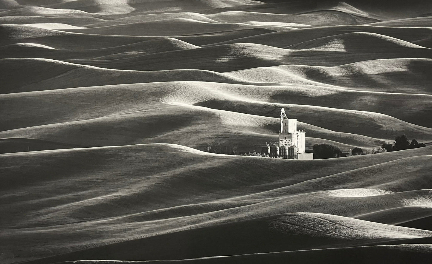Palouse 1