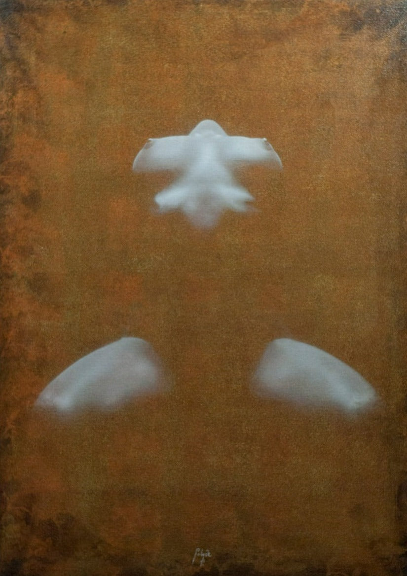 Shower Lights - Print