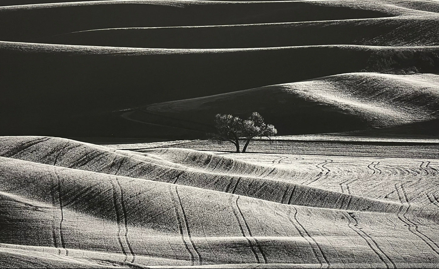 Palouse 2