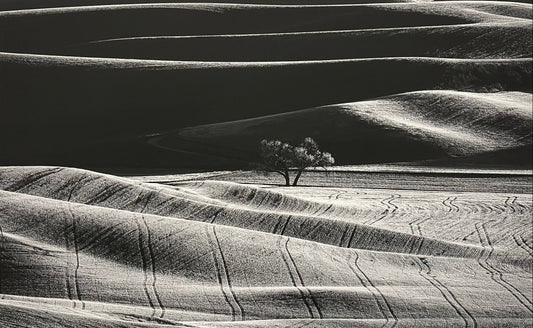 Palouse 2.2